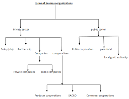 FORMS OF BUSINESS UNITS