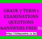 GRADE 7 TERM 1 EXAMINATIONS QUESTIONS &ANSWERS FREE S1.