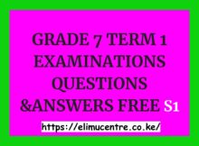 GRADE 7 TERM 1 EXAMINATIONS QUESTIONS &ANSWERS FREE S1.