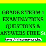 GRADE 8 TERM 1 EXAMINATIONS QUESTIONS & ANSWERS FREE S1.