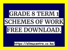 GRADE 8 TERM 1 SCHEMES OF WORK FREE DOWNLOAD.